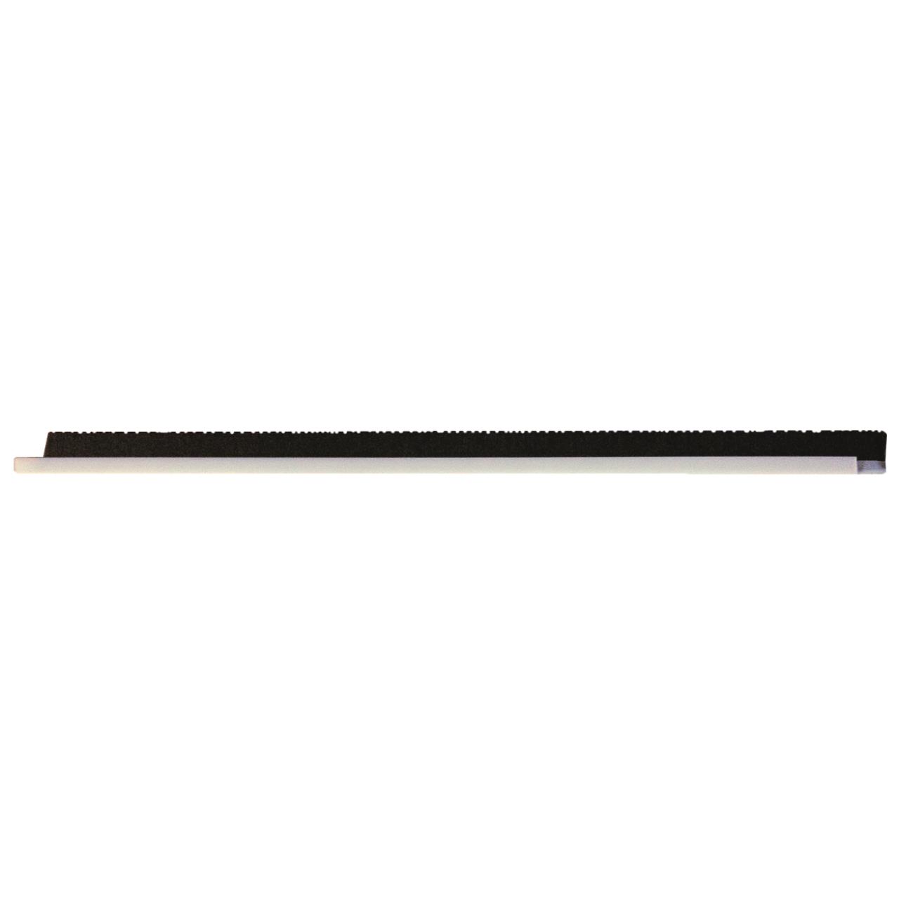 100006946 Bürsteneinsatz 450 mm