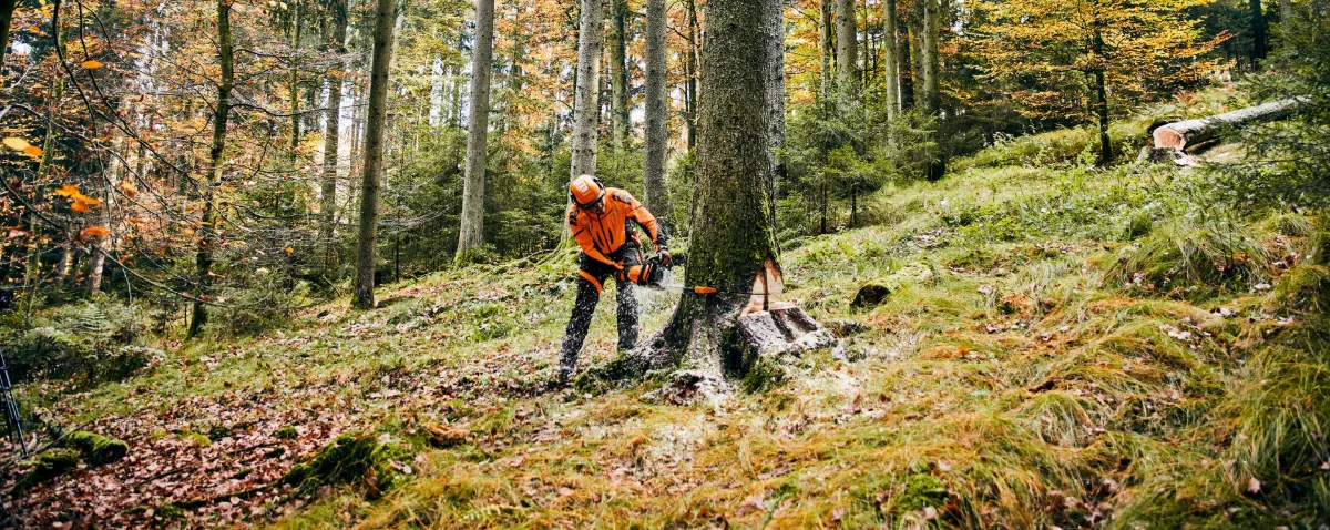 Forstarbeiter mit STIHL Motorsäge im Wald