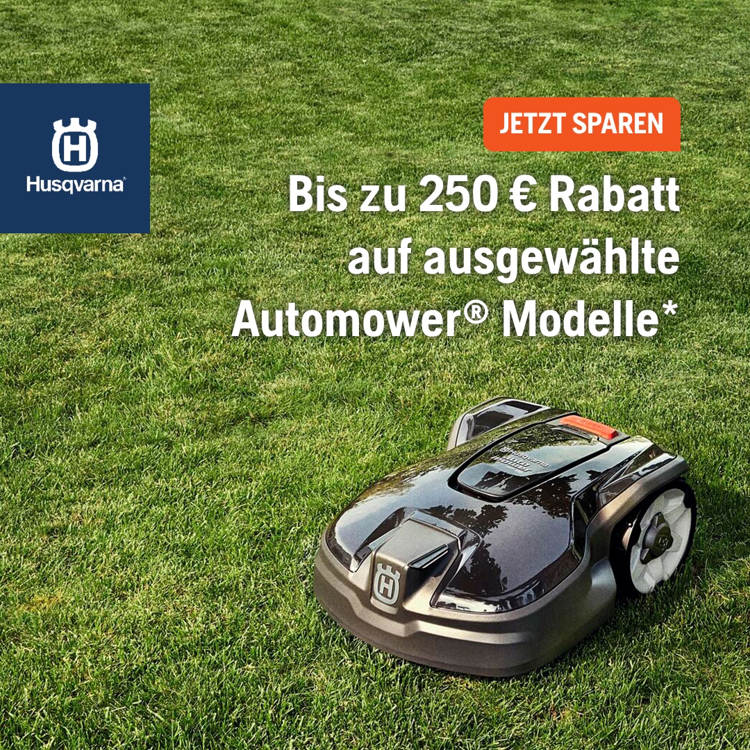 AM 305-310-315_Cashback_Post